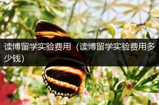 读博留学实验费用（读博留学实验费用多少钱）