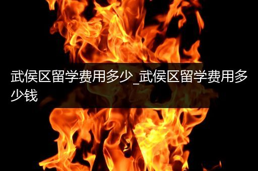 武侯区留学费用多少_武侯区留学费用多少钱