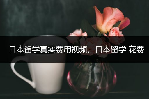 日本留学真实费用视频，日本留学 花费