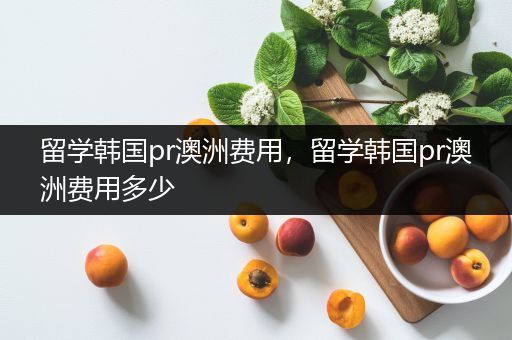 留学韩国pr澳洲费用，留学韩国pr澳洲费用多少