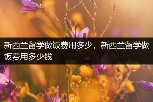 新西兰留学做饭费用多少，新西兰留学做饭费用多少钱