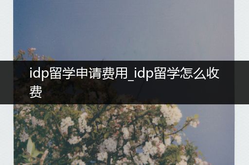 idp留学申请费用_idp留学怎么收费
