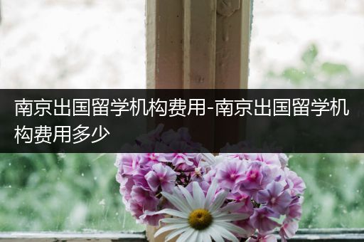 南京出国留学机构费用-南京出国留学机构费用多少