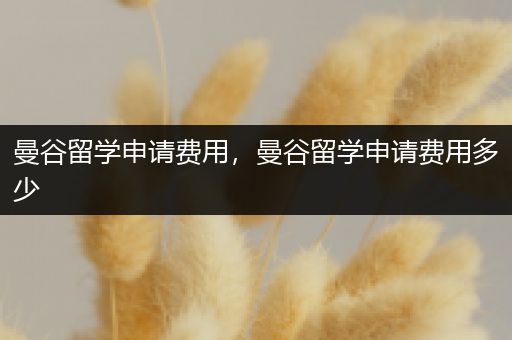 曼谷留学申请费用，曼谷留学申请费用多少