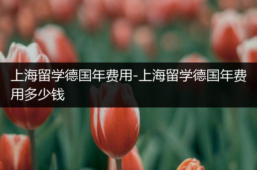 上海留学德国年费用-上海留学德国年费用多少钱