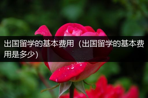 出国留学的基本费用（出国留学的基本费用是多少）