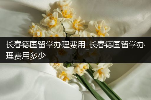 长春德国留学办理费用_长春德国留学办理费用多少