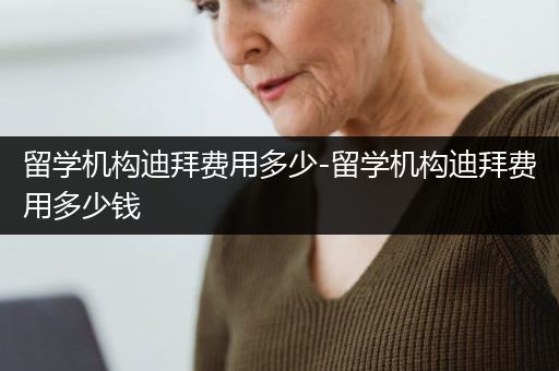 留学机构迪拜费用多少-留学机构迪拜费用多少钱