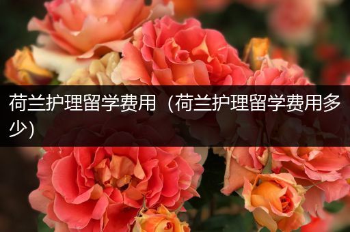 荷兰护理留学费用（荷兰护理留学费用多少）