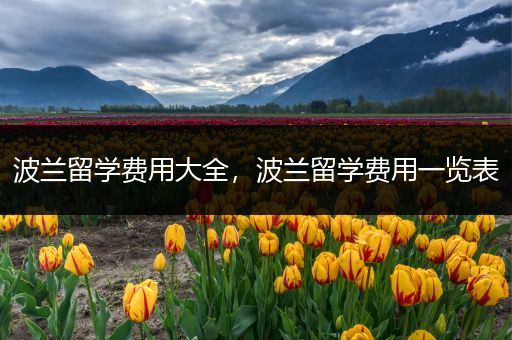 波兰留学费用大全，波兰留学费用一览表