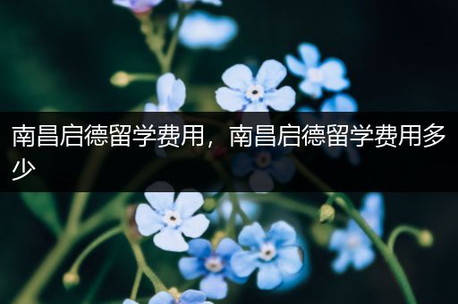 南昌启德留学费用，南昌启德留学费用多少