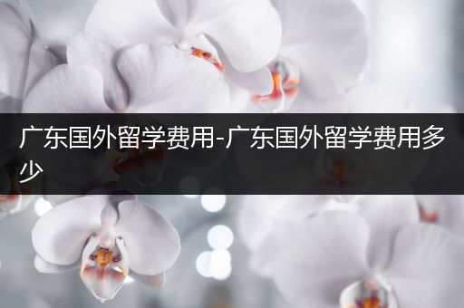广东国外留学费用-广东国外留学费用多少