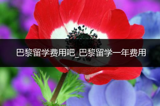 巴黎留学费用吧_巴黎留学一年费用