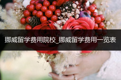 挪威留学费用院校_挪威留学费用一览表