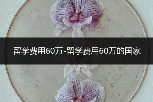 留学费用60万-留学费用60万的国家
