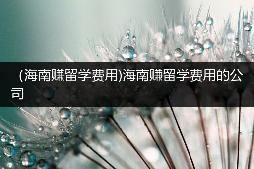 （海南赚留学费用)海南赚留学费用的公司