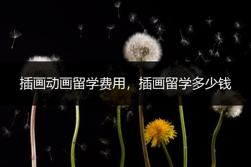 插画动画留学费用，插画留学多少钱