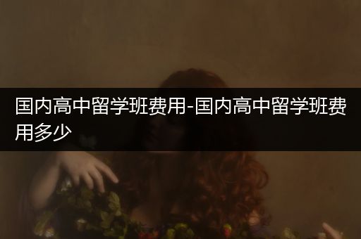 国内高中留学班费用-国内高中留学班费用多少