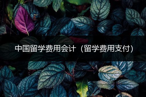 中国留学费用会计（留学费用支付）