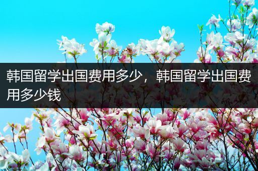 韩国留学出国费用多少，韩国留学出国费用多少钱
