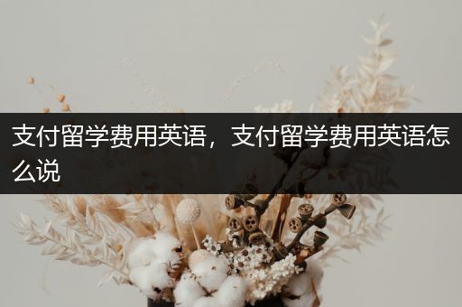 支付留学费用英语，支付留学费用英语怎么说
