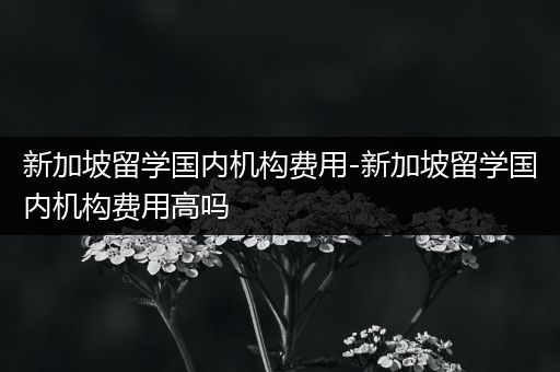 新加坡留学国内机构费用-新加坡留学国内机构费用高吗
