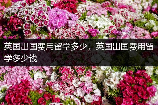 英国出国费用留学多少，英国出国费用留学多少钱