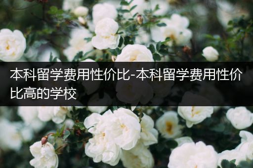 本科留学费用性价比-本科留学费用性价比高的学校