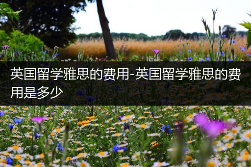 英国留学雅思的费用-英国留学雅思的费用是多少