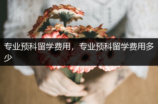 专业预科留学费用，专业预科留学费用多少