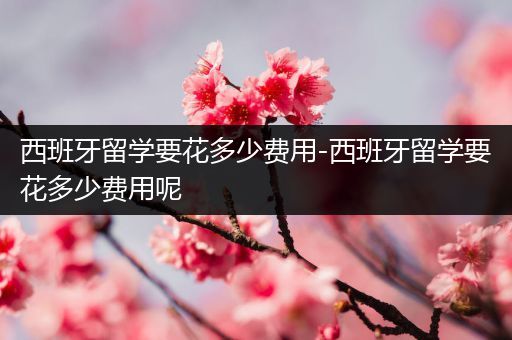 西班牙留学要花多少费用-西班牙留学要花多少费用呢