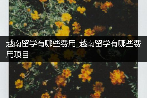 越南留学有哪些费用_越南留学有哪些费用项目