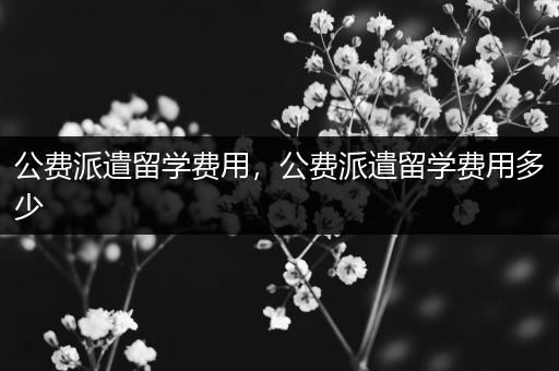 公费派遣留学费用，公费派遣留学费用多少