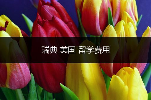 瑞典 美国 留学费用