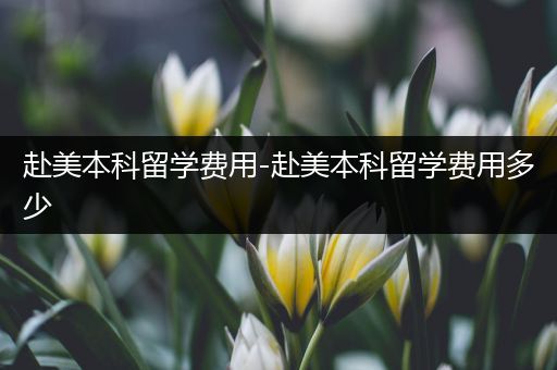 赴美本科留学费用-赴美本科留学费用多少