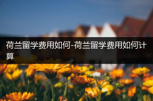 荷兰留学费用如何-荷兰留学费用如何计算
