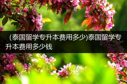 （泰国留学专升本费用多少)泰国留学专升本费用多少钱