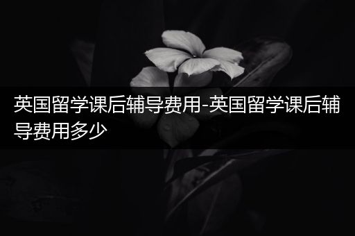 英国留学课后辅导费用-英国留学课后辅导费用多少