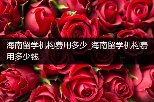 海南留学机构费用多少_海南留学机构费用多少钱