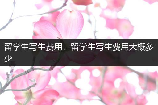 留学生写生费用，留学生写生费用大概多少