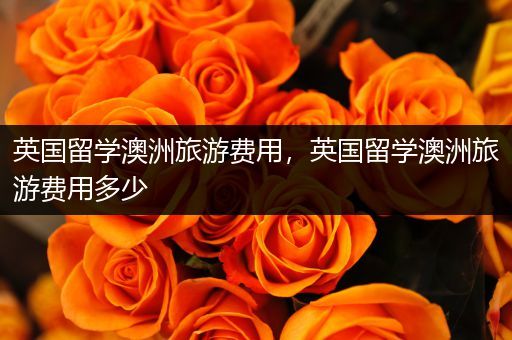 英国留学澳洲旅游费用，英国留学澳洲旅游费用多少
