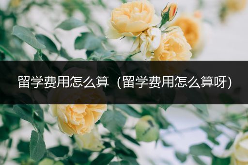 留学费用怎么算（留学费用怎么算呀）