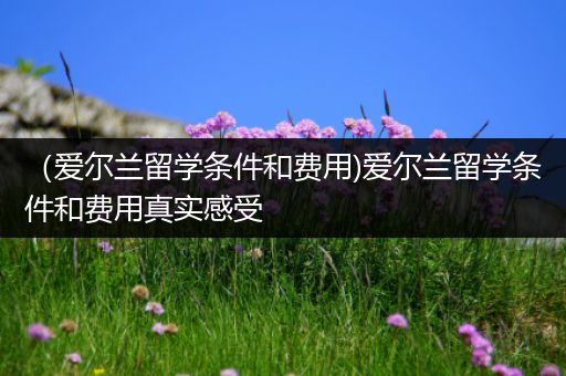 （爱尔兰留学条件和费用)爱尔兰留学条件和费用真实感受