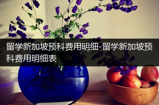 留学新加坡预科费用明细-留学新加坡预科费用明细表
