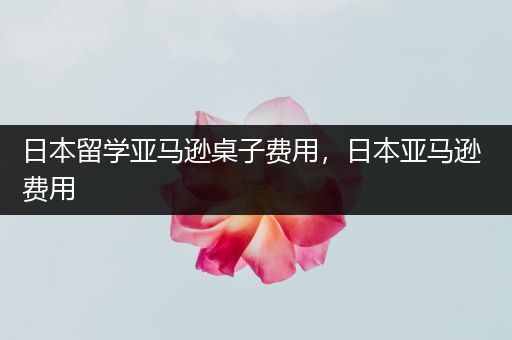 日本留学亚马逊桌子费用，日本亚马逊 费用
