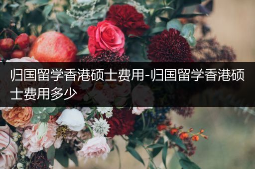 归国留学香港硕士费用-归国留学香港硕士费用多少