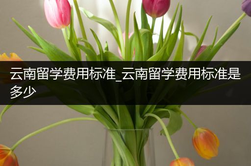 云南留学费用标准_云南留学费用标准是多少