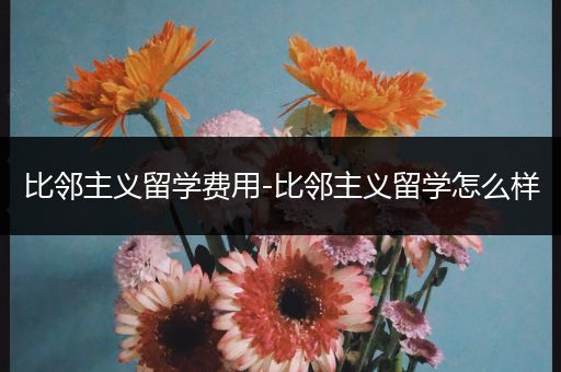 比邻主义留学费用-比邻主义留学怎么样