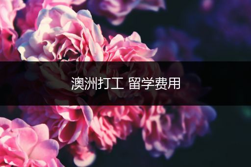 澳洲打工 留学费用