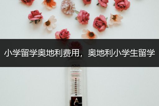 小学留学奥地利费用，奥地利小学生留学
